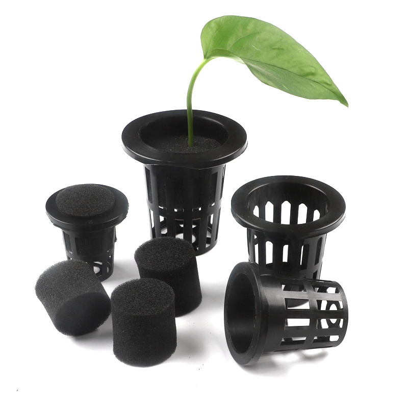 Smart Garden Plastic Cups - 50pcs Black Hydroponic Baskets Sponge Garden