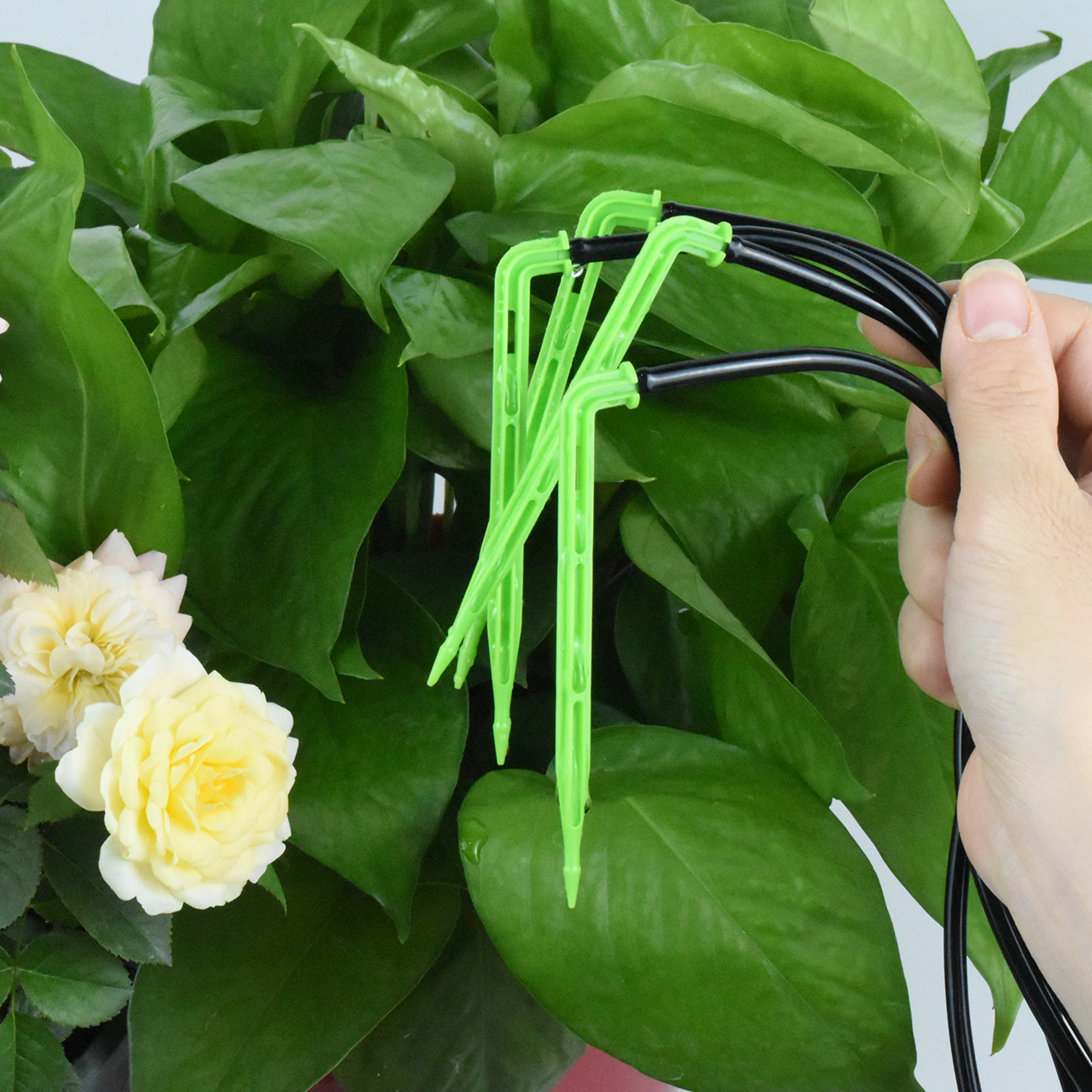 KESLA Garden 4/7mm to 3/5mm Ho - Smart Garden Project ulasan dan harga