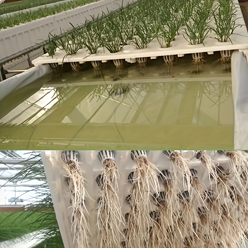 10pcs Hydroponic Seedling Bask - Smart Garden Plastic Cups ulasan dan harga