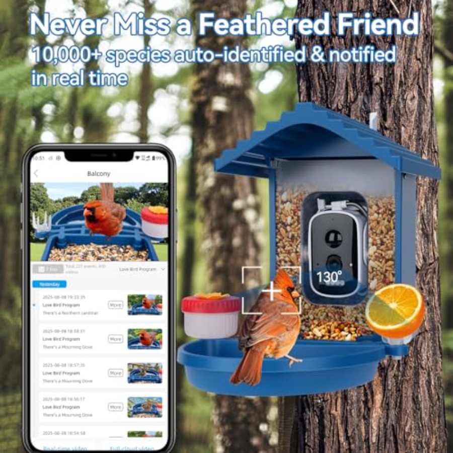 Bird Feeder with Camera Solar  - Smart Garden Video ulasan dan harga