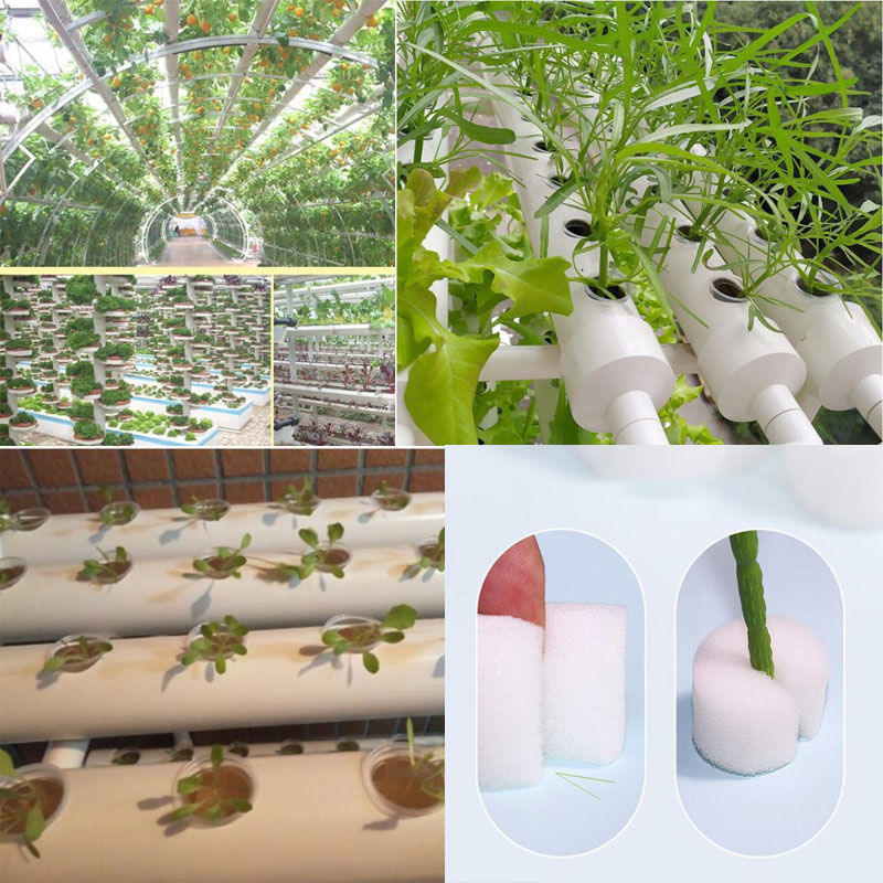 8 sizes greenhouse Soilless Me - Smart Garden Plastic Cups ulasan dan harga