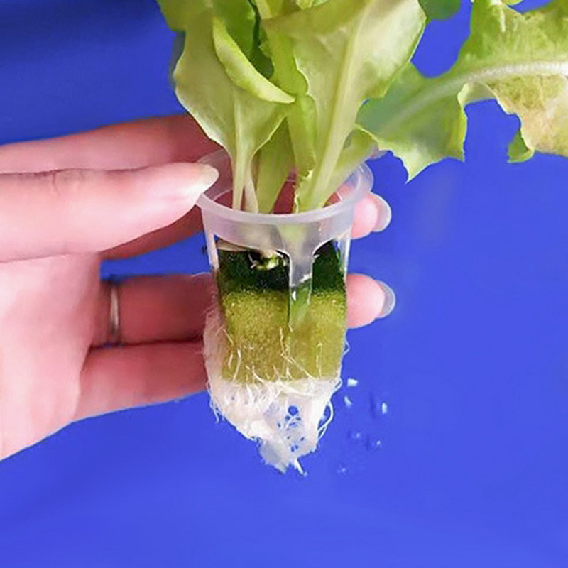 200pcs Hydroponic Basket Veget - Smart Garden Plastic Cups ulasan dan harga