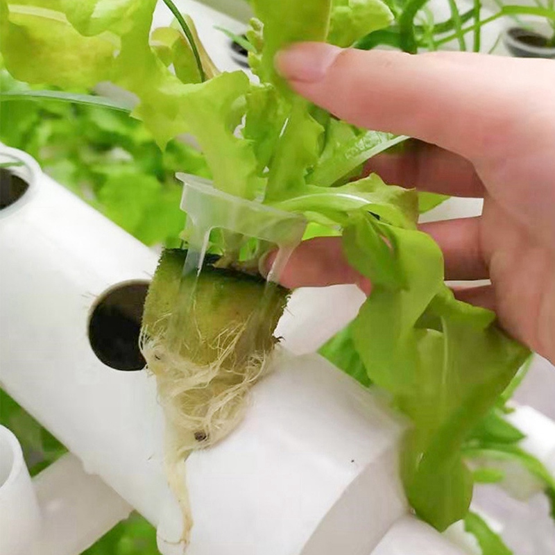200pcs Hydroponic Basket Veget - Smart Garden Plastic Cups ulasan dan harga