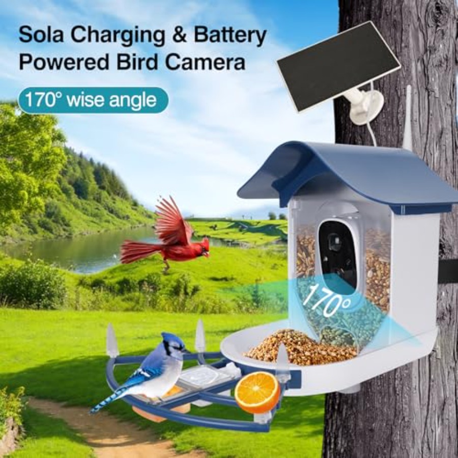【Spot goods】Smart Bird Feeder  - Smart Garden Video ulasan dan harga
