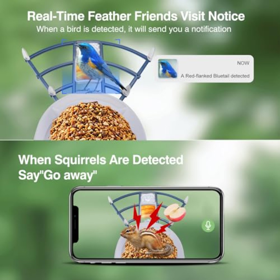 【Spot goods】Smart Bird Feeder  - Smart Garden Video ulasan dan harga