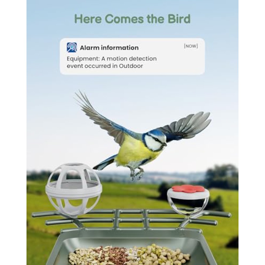 Smart Bird Feeder with Camera  - Smart Garden Video ulasan dan harga