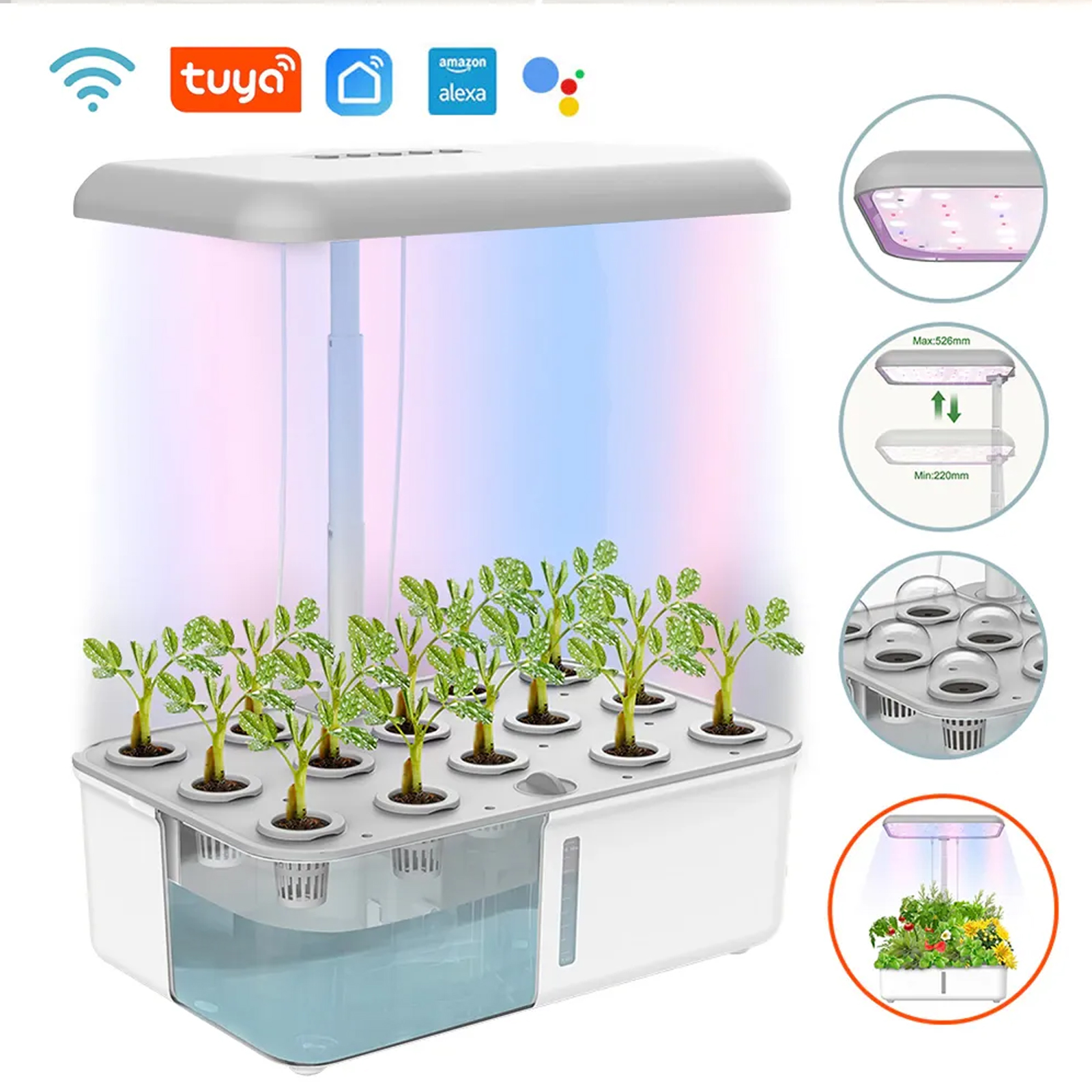Tuya WiFi Plant Hydroponics Sy - Smart Garden Plastic Cups ulasan dan harga