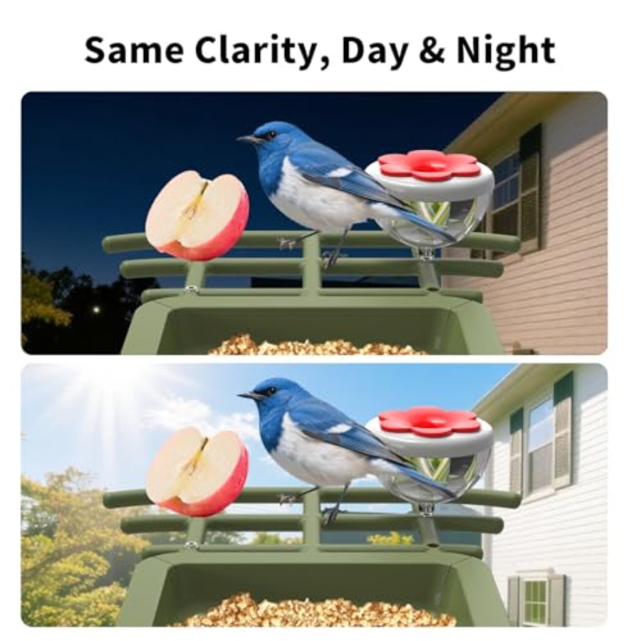Outdoor garden birdwatching sm - Smart Garden Video ulasan dan harga