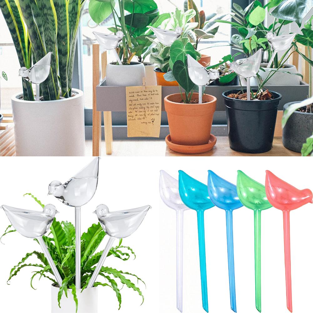Automatic Plant Watering Bulbs - Smart Garden Project ulasan dan harga