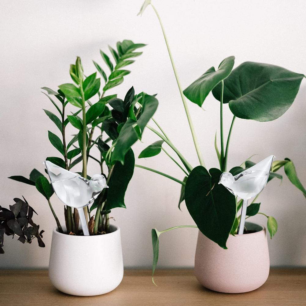 Automatic Plant Watering Bulbs - Smart Garden Project ulasan dan harga