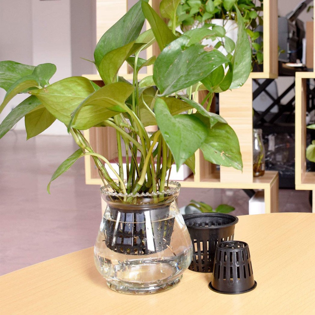 25PCS Hydroponic Pot Net Cup H - Smart Garden Plastic Cups ulasan dan harga