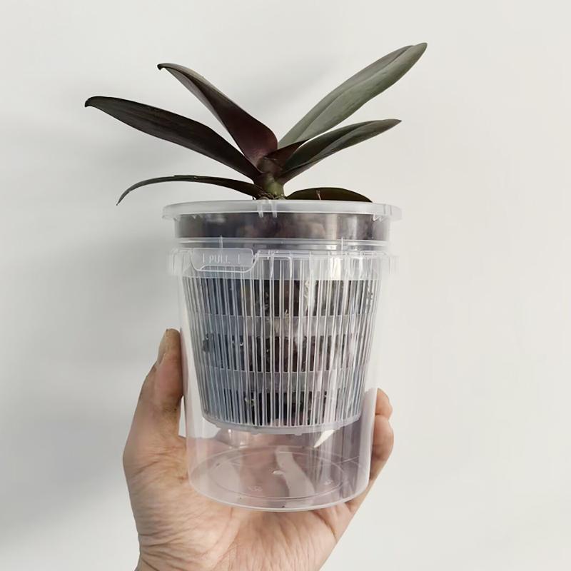 Self Watering Nursery Pots for - Smart Garden Plastic Cups ulasan dan harga