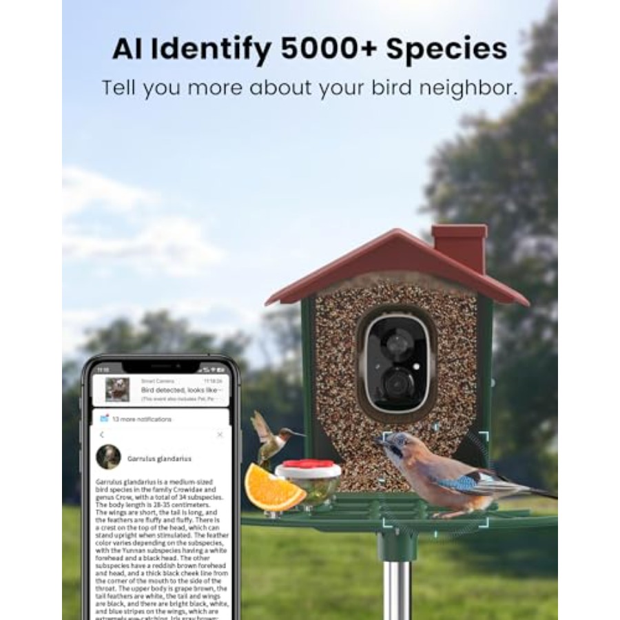 Smart Bird Feeder with Camera  - Smart Garden Video ulasan dan harga