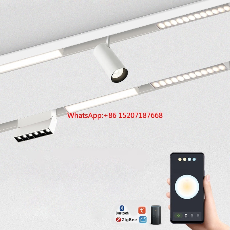 20W Track Spotlight LED Tuya Z - Smart Zigbee Garden Light ulasan dan harga