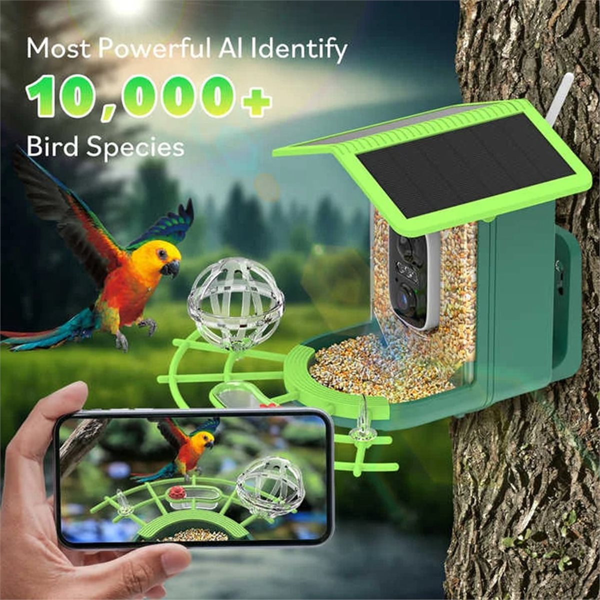 ABPP Smart Bird Feeder Camera  - Smart Garden Video ulasan dan harga