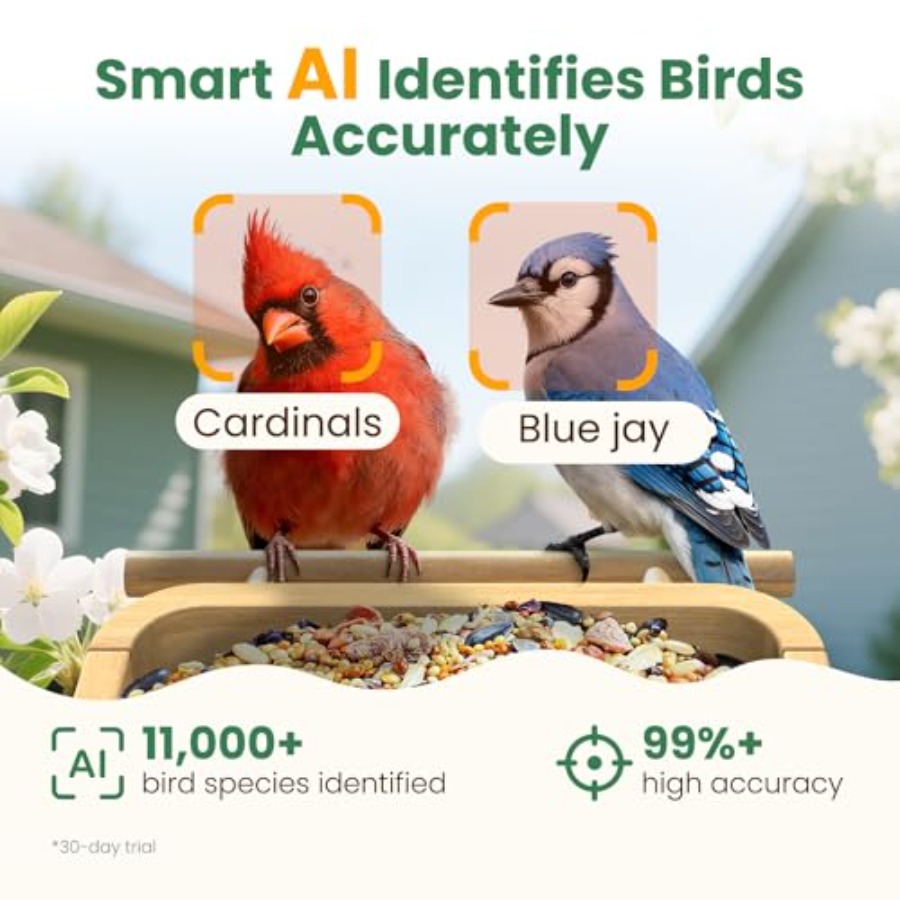 Smart Bamboo Bird Feeder with  - Smart Garden Video ulasan dan harga
