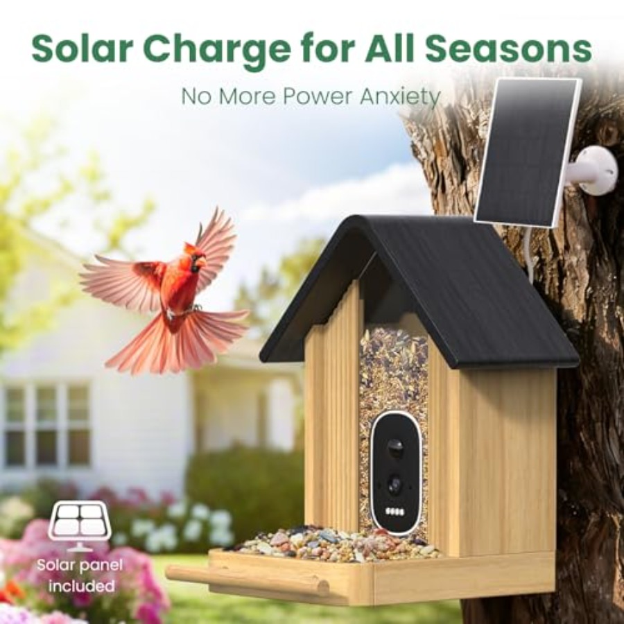 Smart Bamboo Bird Feeder with  - Smart Garden Video ulasan dan harga