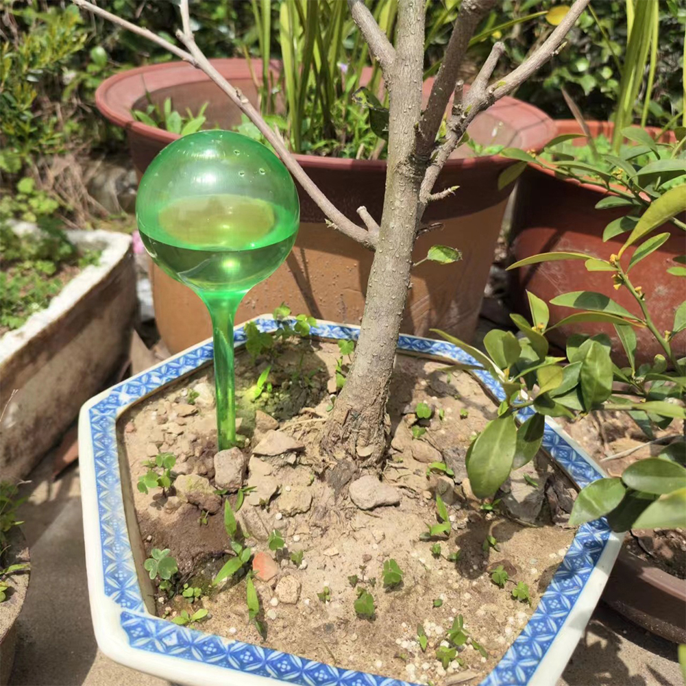 Automatic Plant Watering Bulbs - Smart Garden Project ulasan dan harga