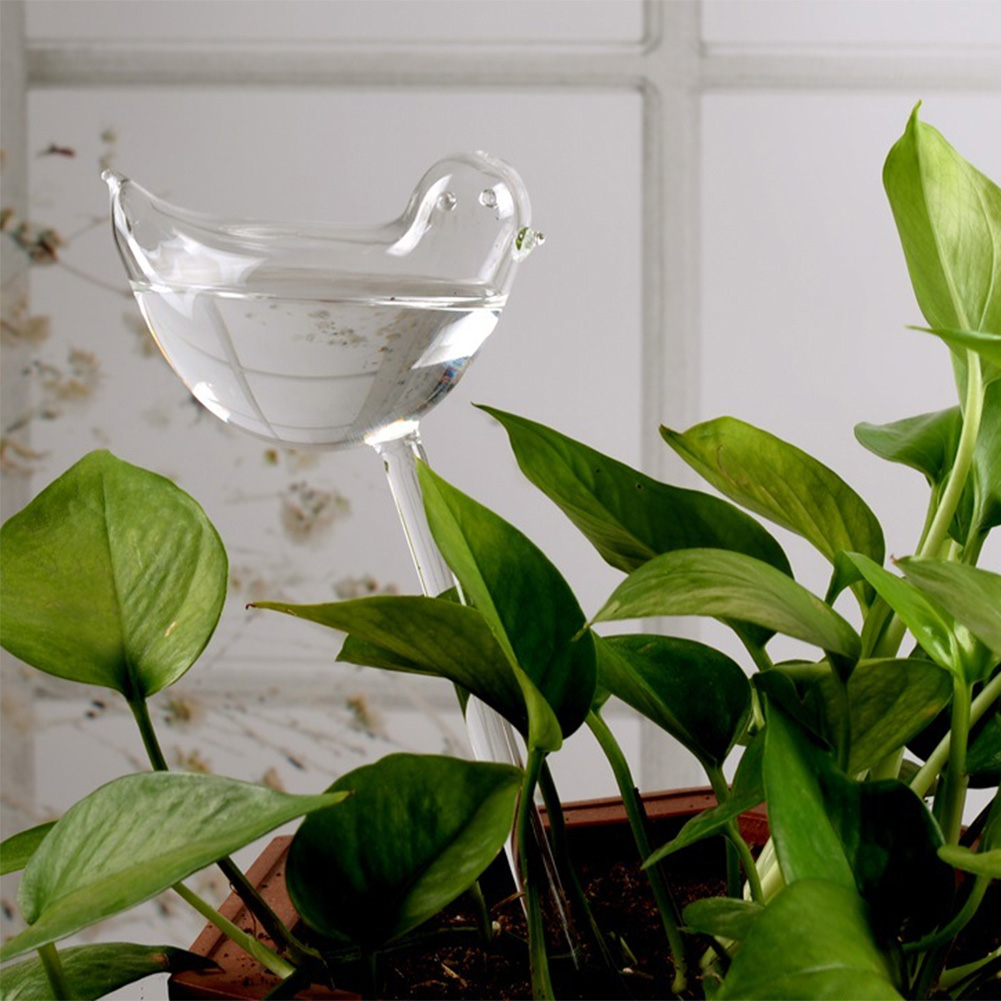 Automatic Plant Watering Bulbs - Smart Garden Project ulasan dan harga