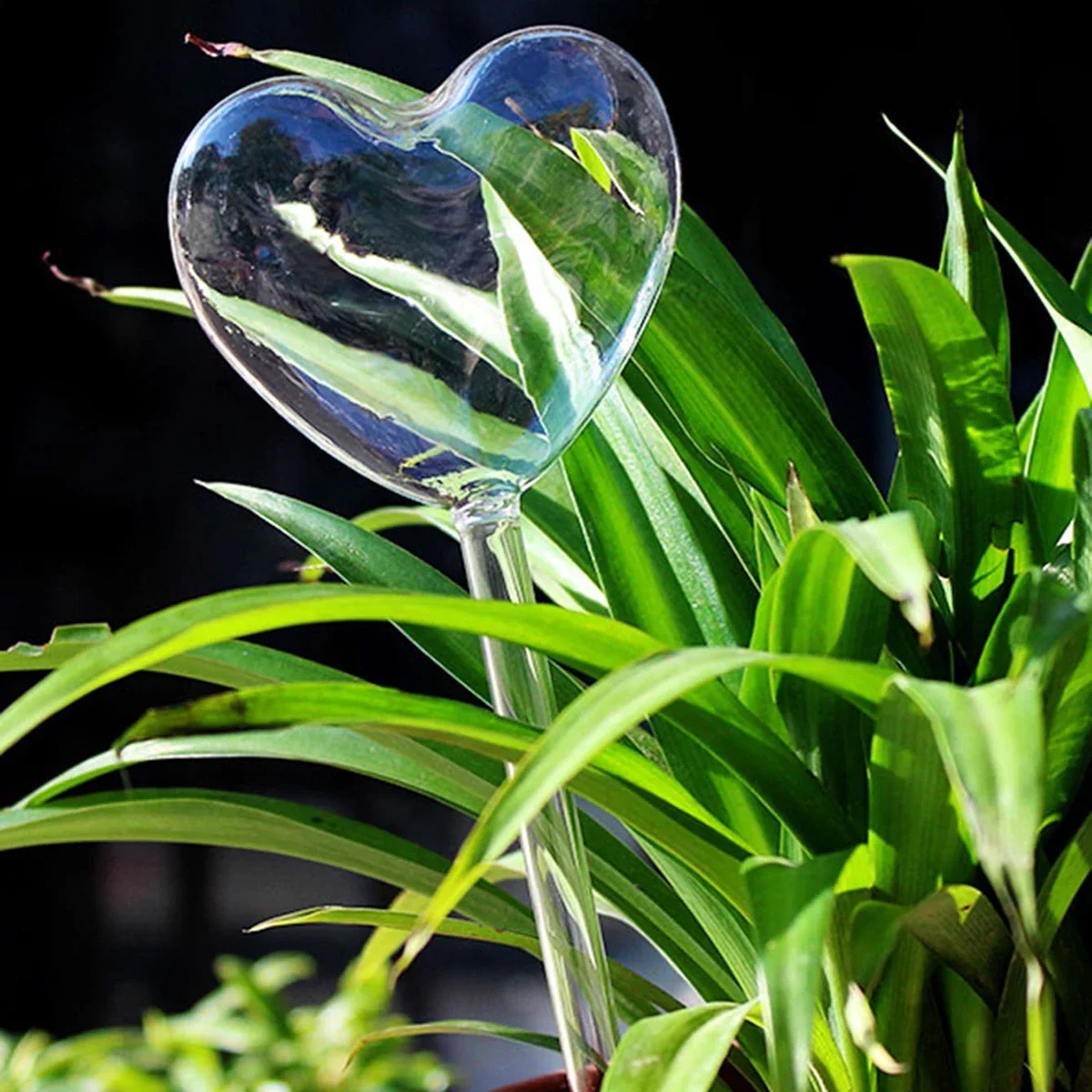 1pc Automatic Plant Watering B - Smart Garden Project ulasan dan harga