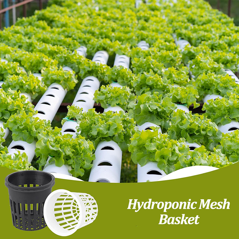 20Pcs Garden Planting Nursery  - Smart Garden Plastic Cups ulasan dan harga