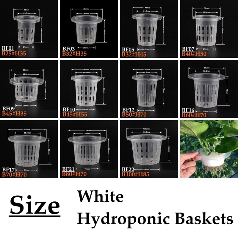 10Pcs White Hydroponic Soilles - Smart Garden Plastic Cups ulasan dan harga