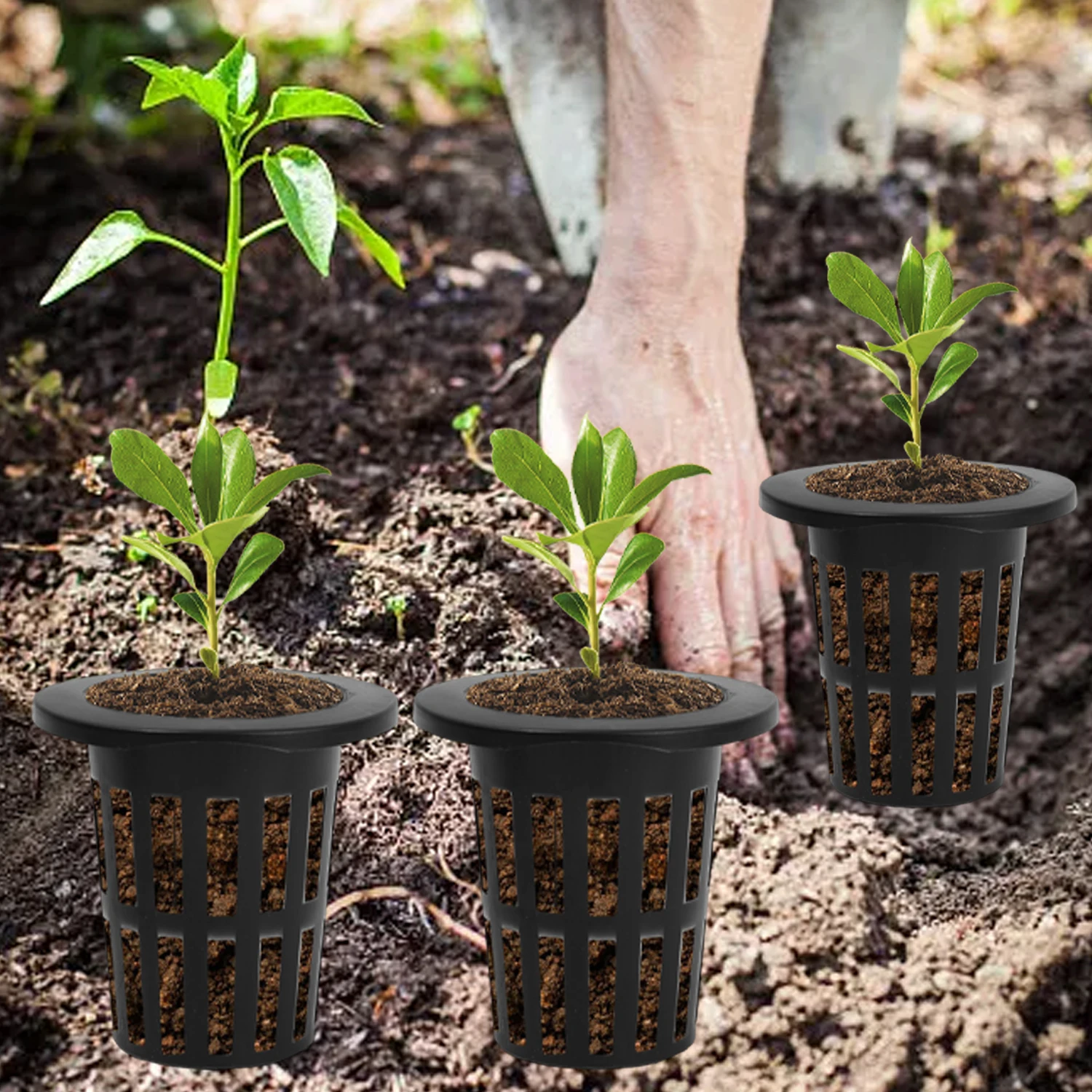 100/25x Hydroponic Pot Net Cup - Smart Garden Plastic Cups ulasan dan harga