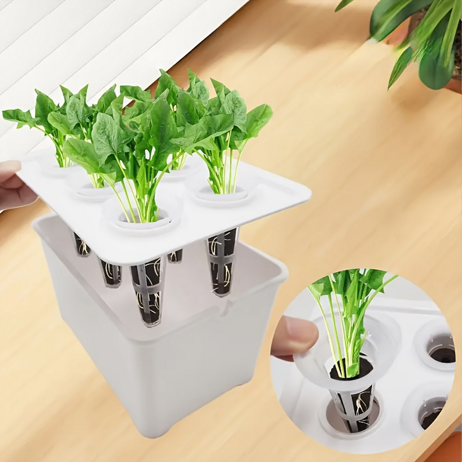Professional Hydroponic Grower - Smart Garden Plastic Cups ulasan dan harga